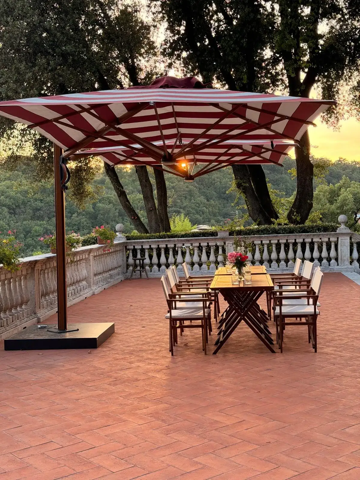 Dining table under a pergola on the terrace