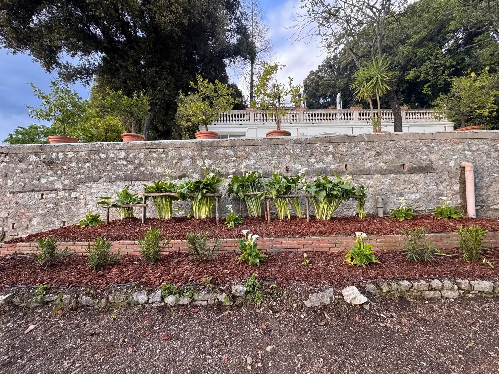 Stone wall and flower beds in the garden