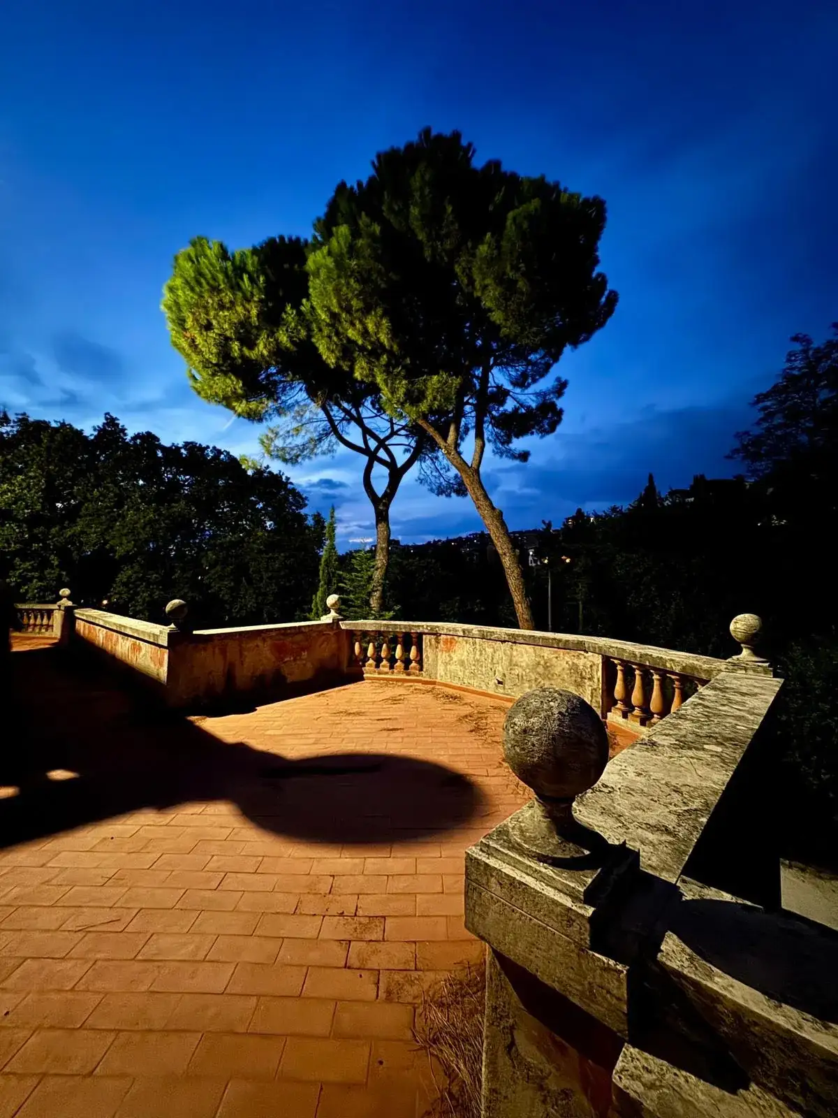 Terrace at dusk under the pines